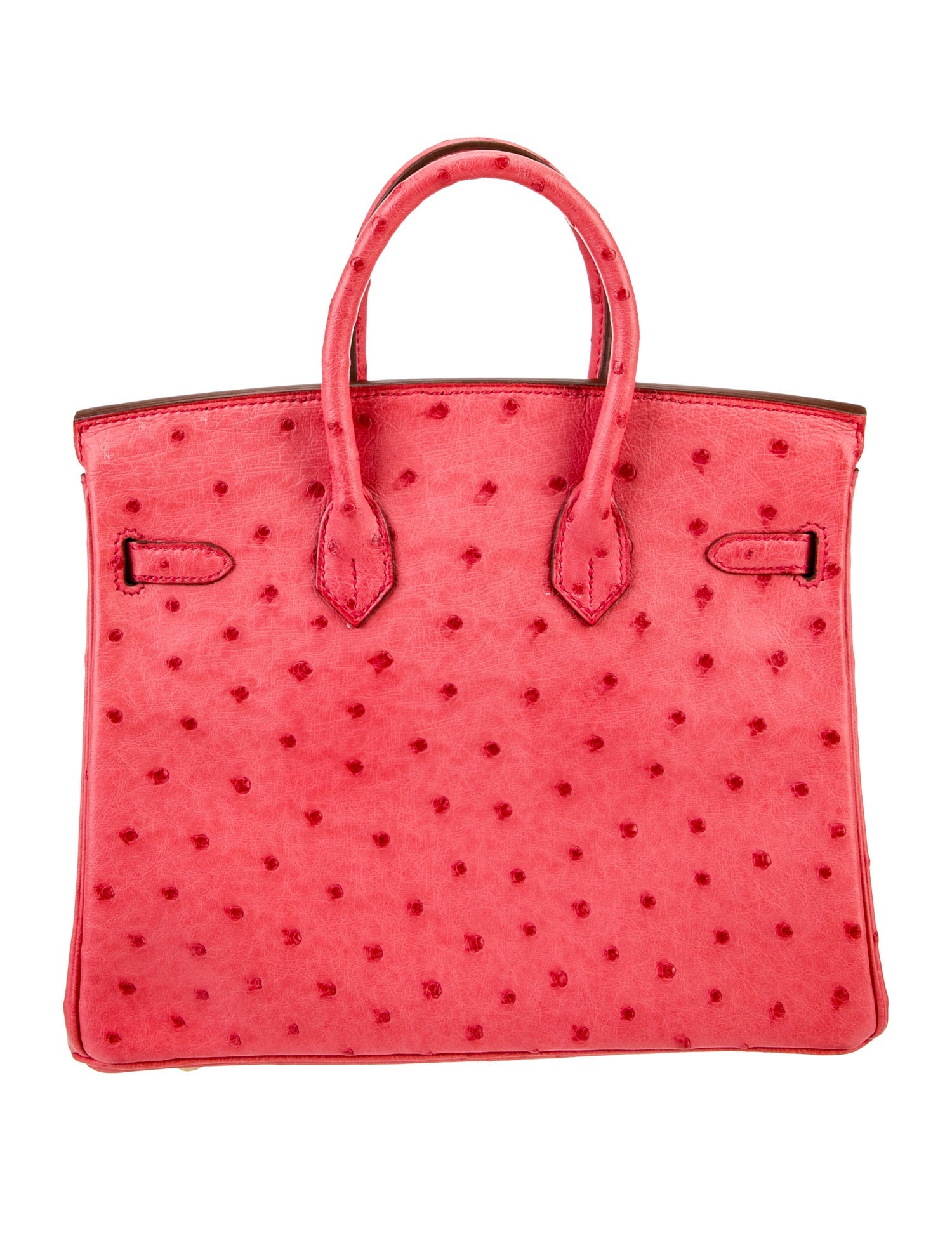 Hermès Ostrich Birkin 25